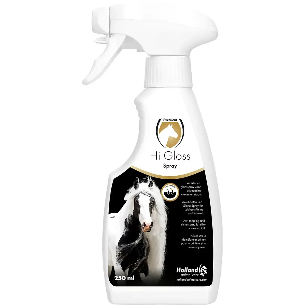 Hi Gloss spray
