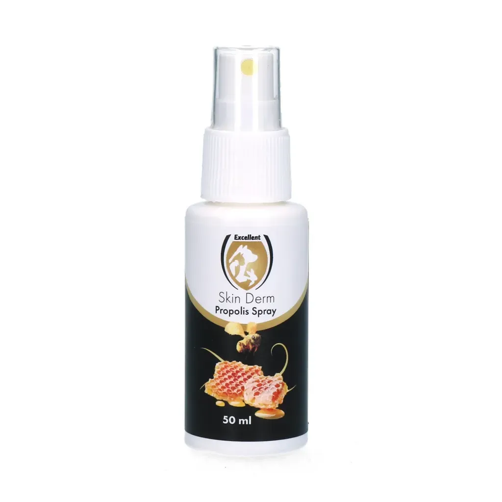 Skin Derm Propolis & Honing Zalf Easydose