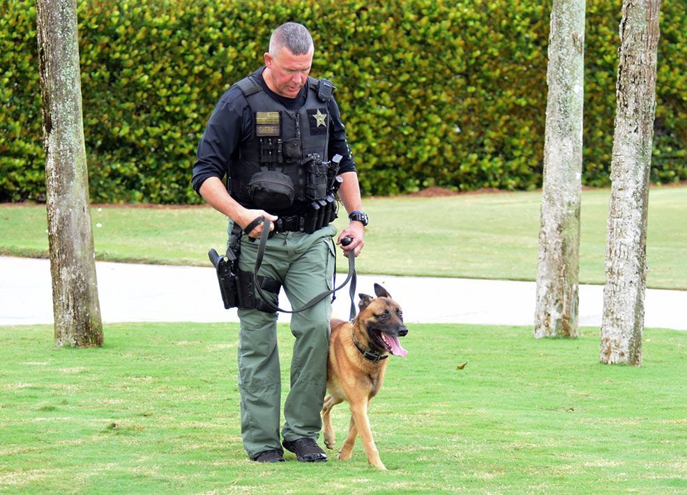 A police officer is walking a dog on a leash in a park.