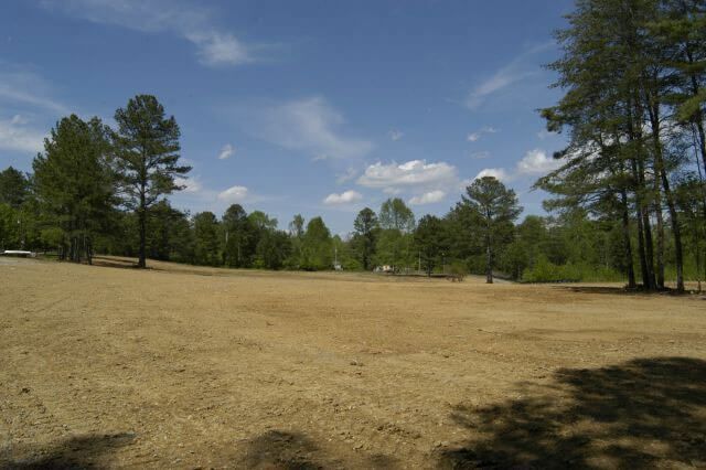 A wide, golden-brown field stretches toward a treeline under a bright blue sky with light clouds.