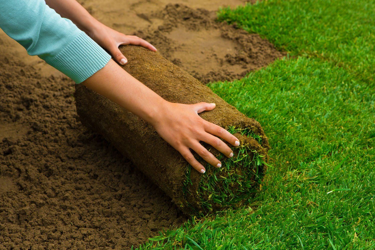 Turf Installation