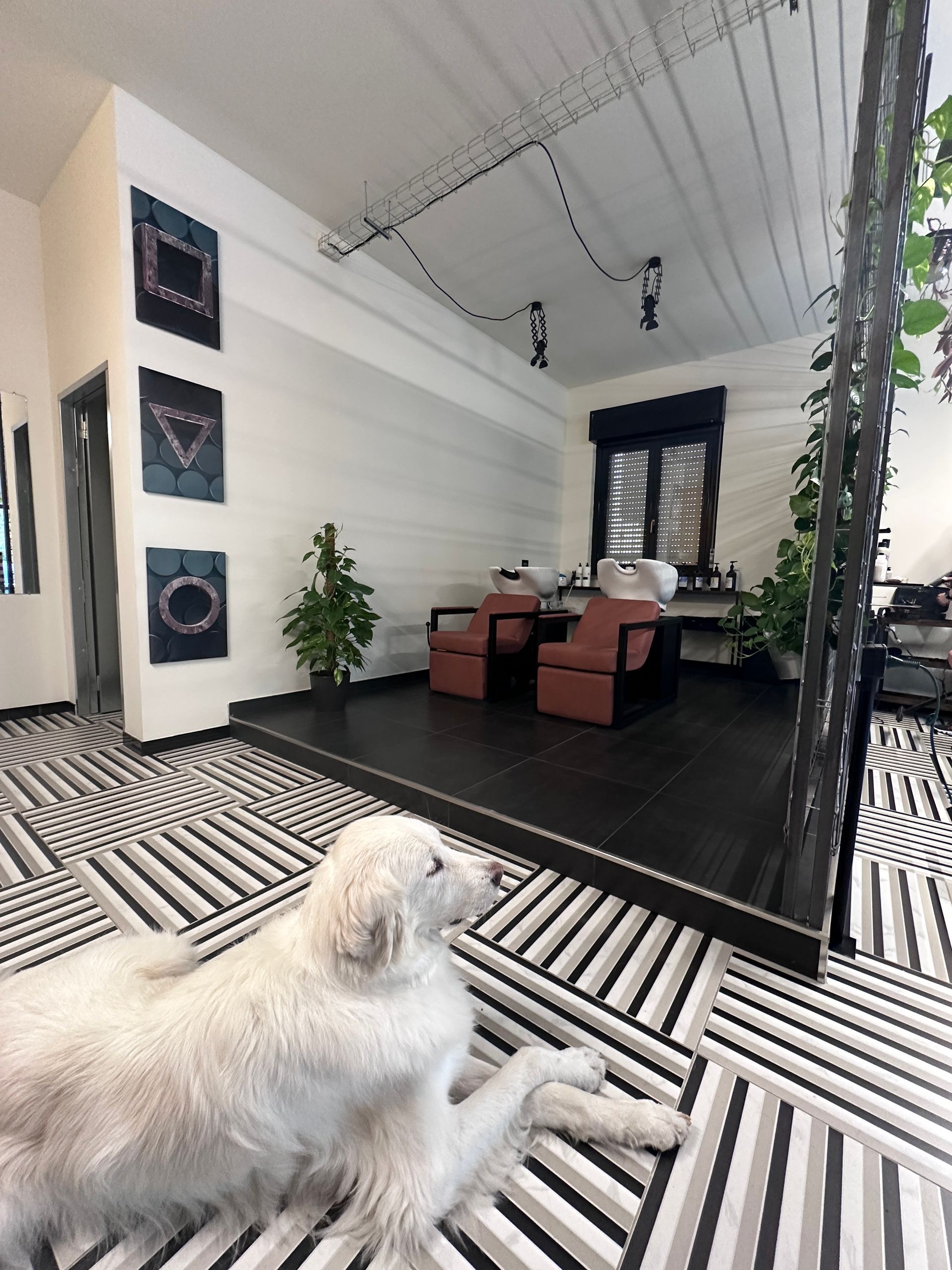 Shape Salon - Il Salone