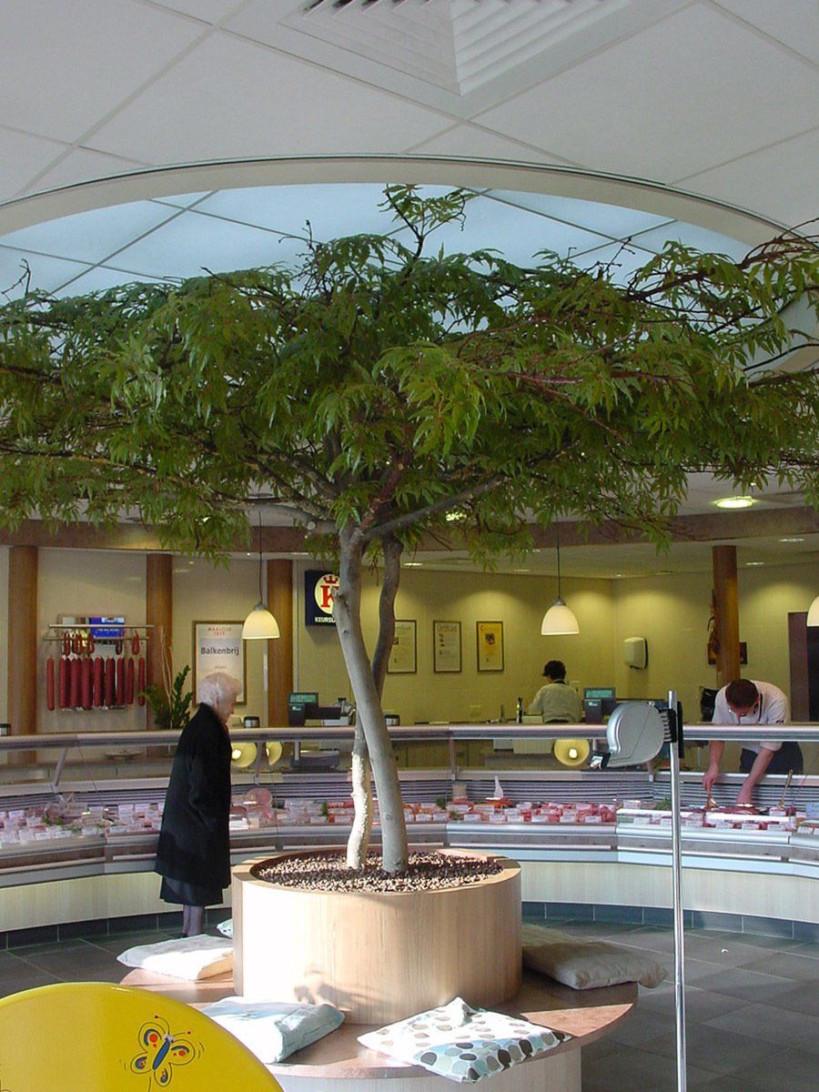 kunstboom