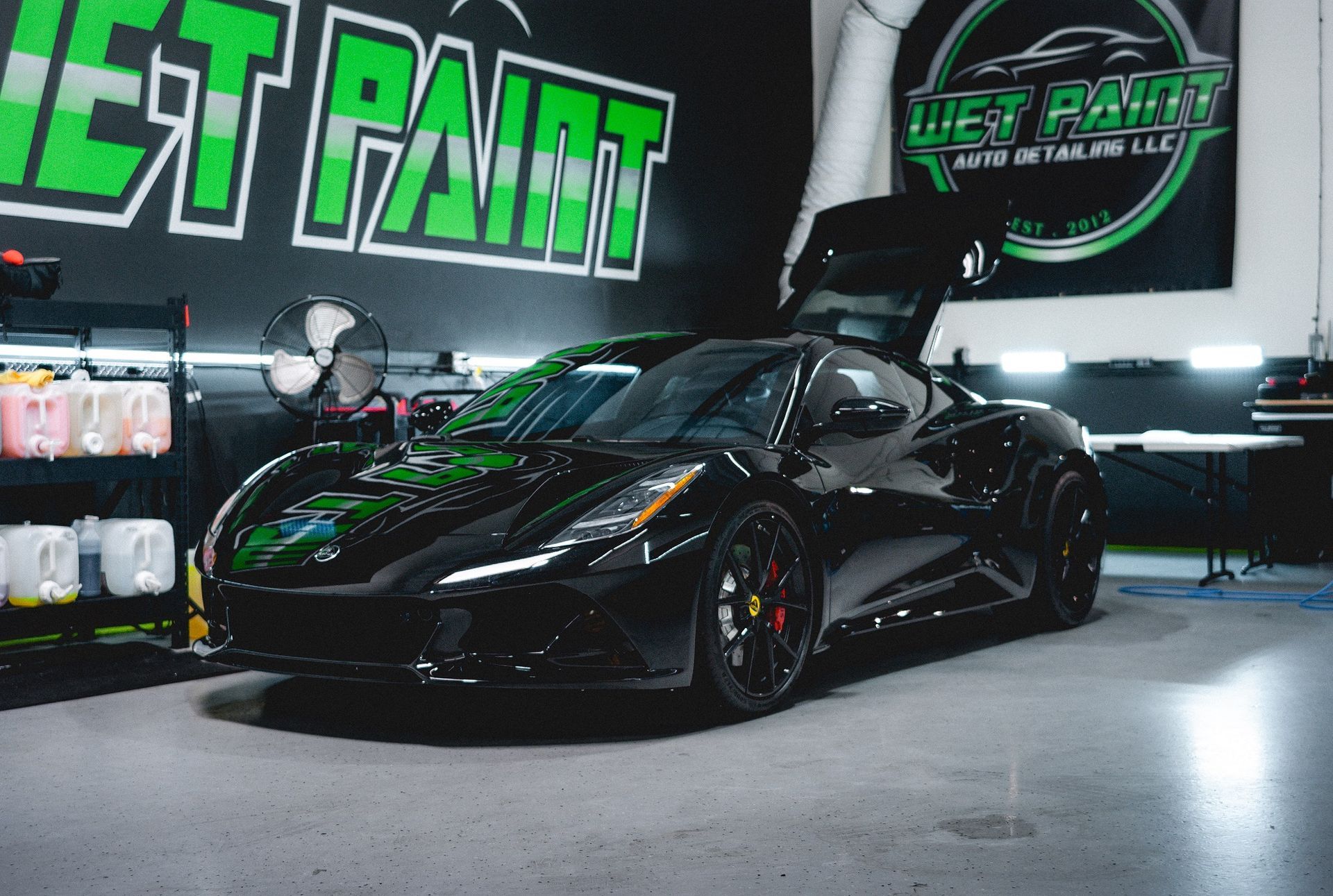 Professional Ceramic Coating Services