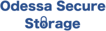 Odessa Secure Storage