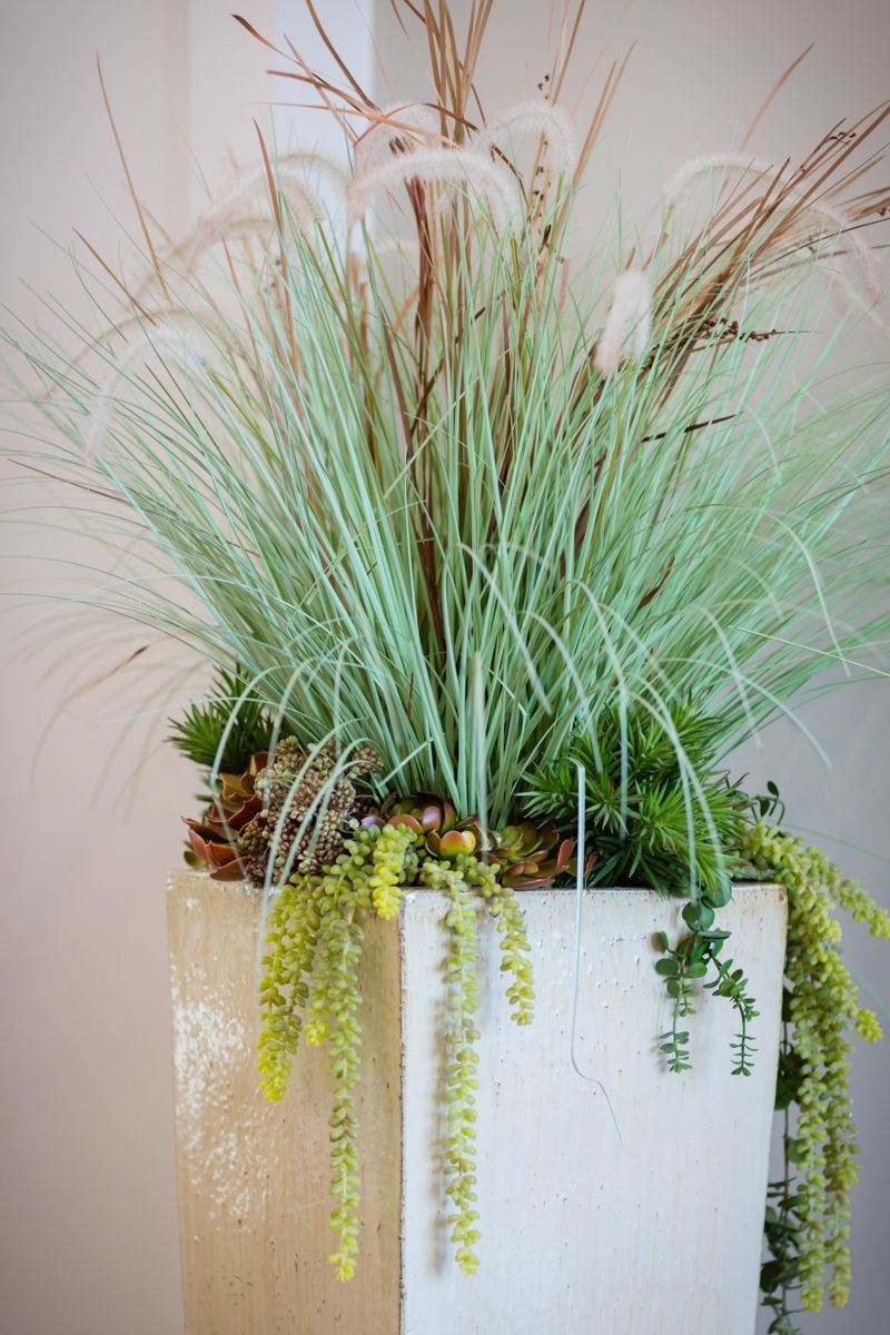 A potted plant with a lot of green plants in it.