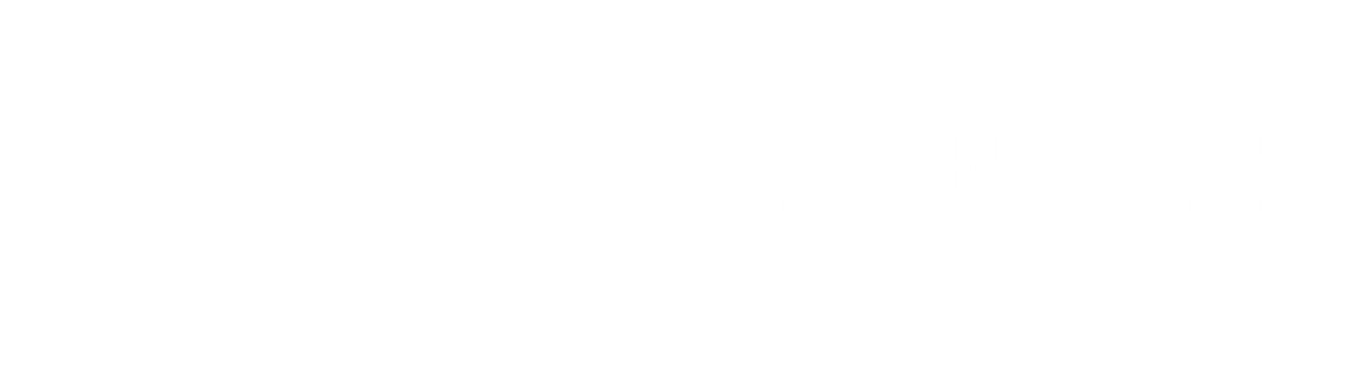 The logo of the IT company Automation Fans, positioned in the bottom left corner