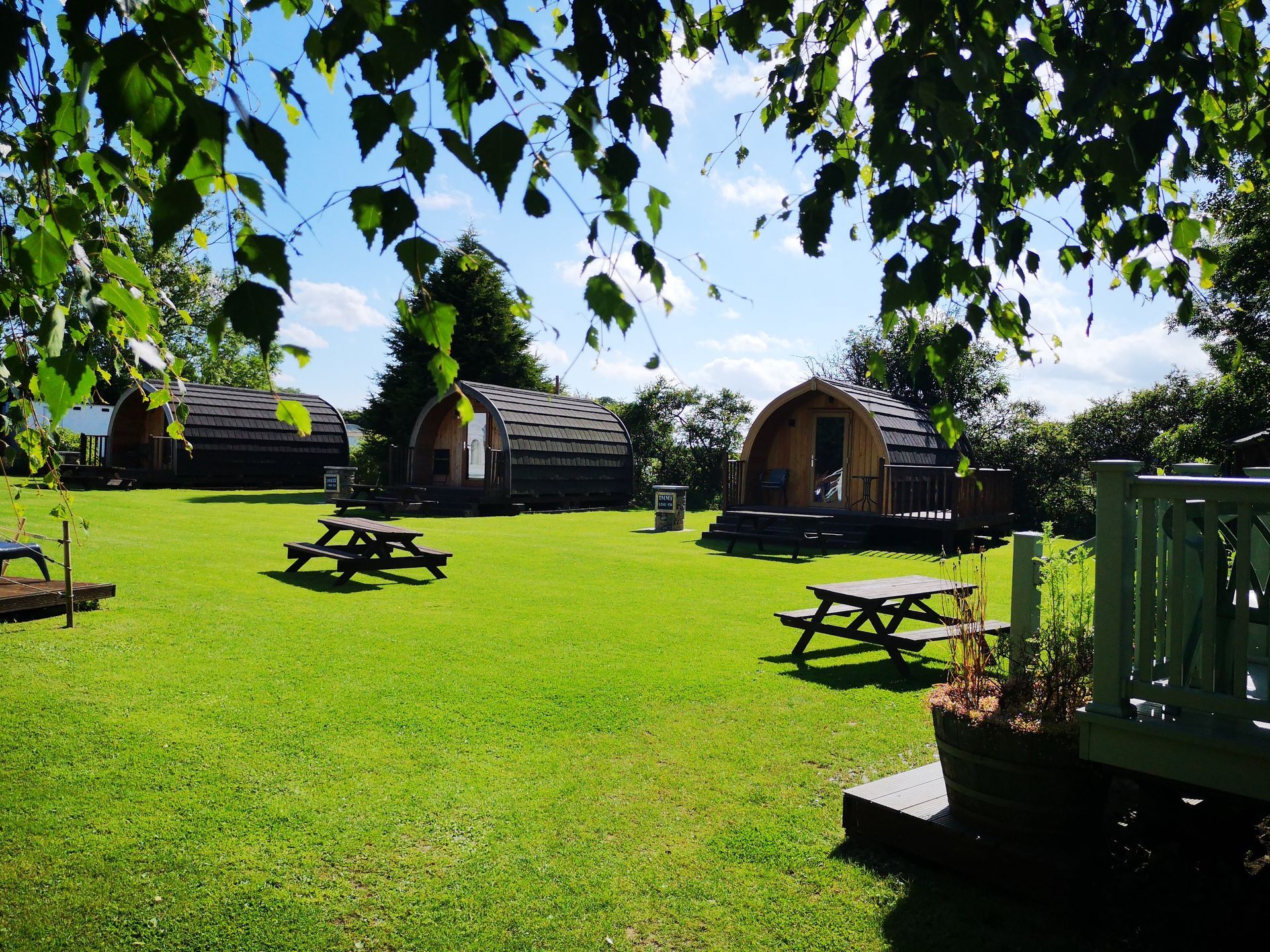 View of the Lodge Pods across the pod garden