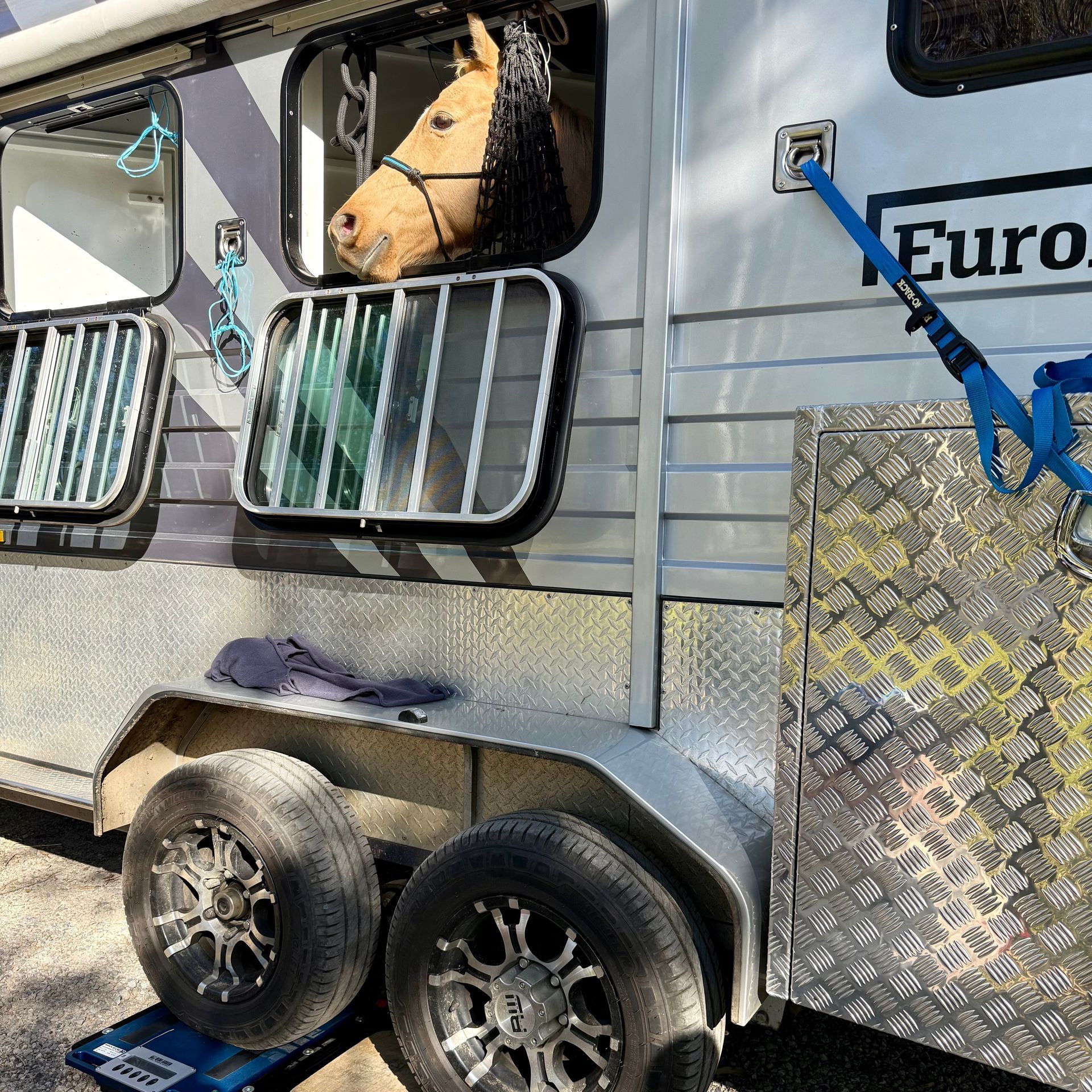 Horse float weighing Brisbane