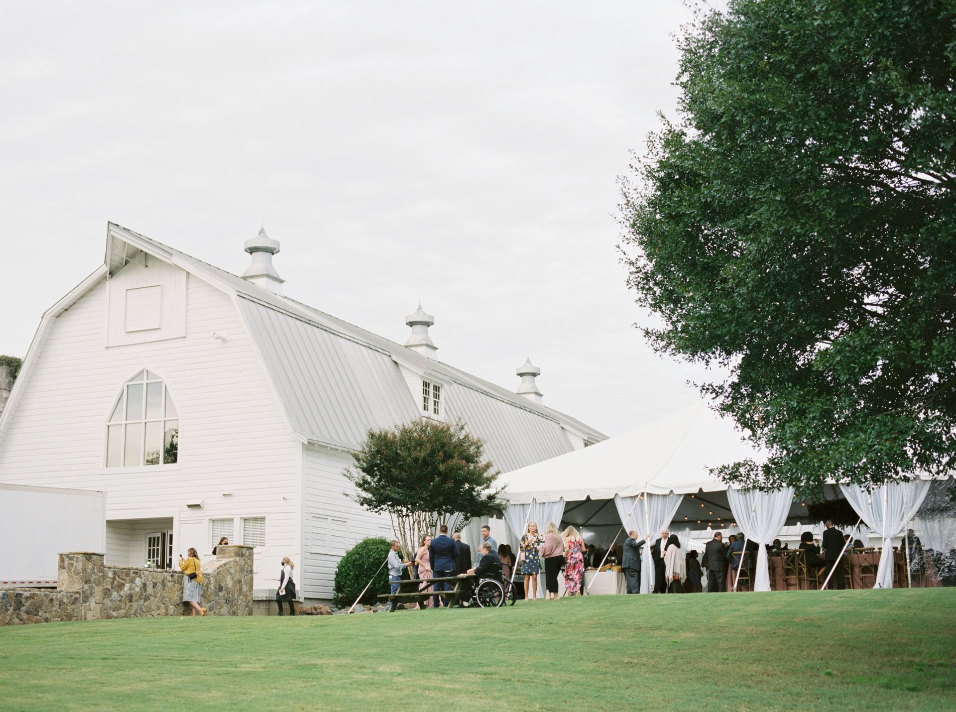 canopy tent rental