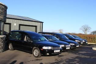 Line up of hearses