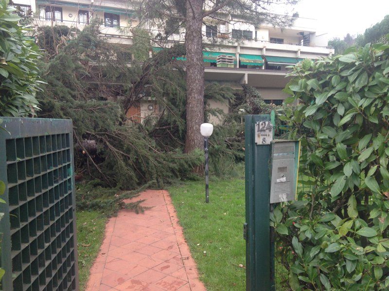 manutenzione aree verdi