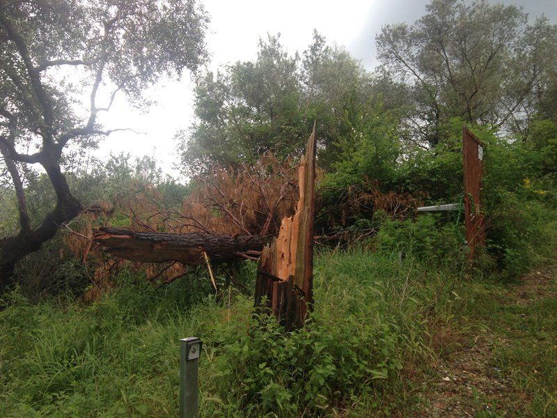 manutenzione aree verdi