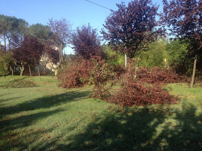 manutenzione aree verdi