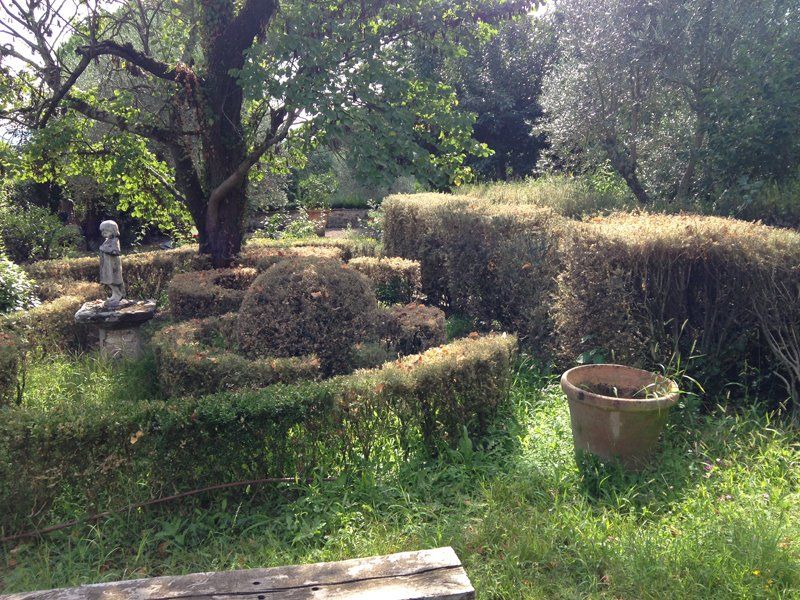 trattamenti fitosanitari per alberi