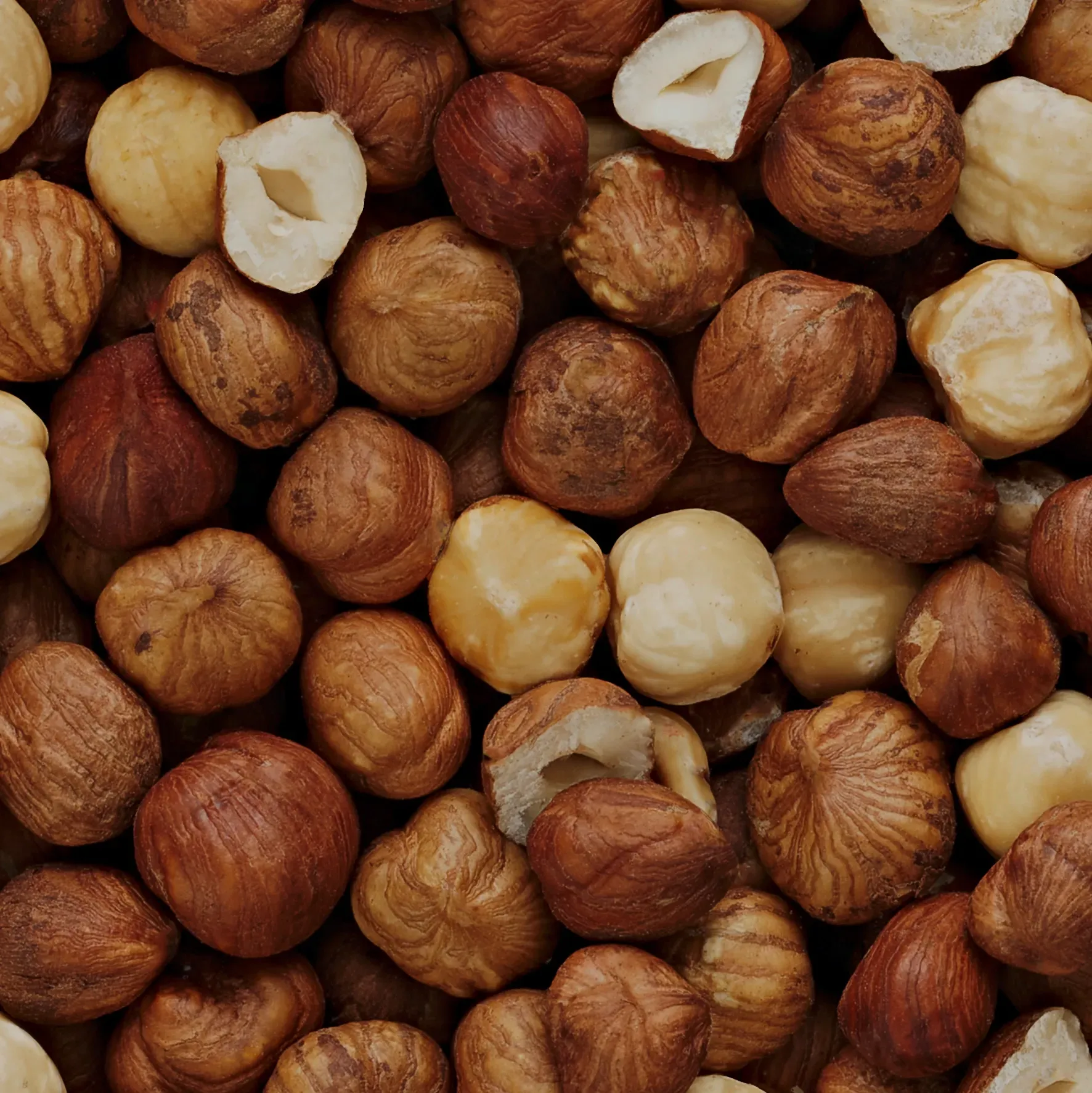 A pile of hazelnuts