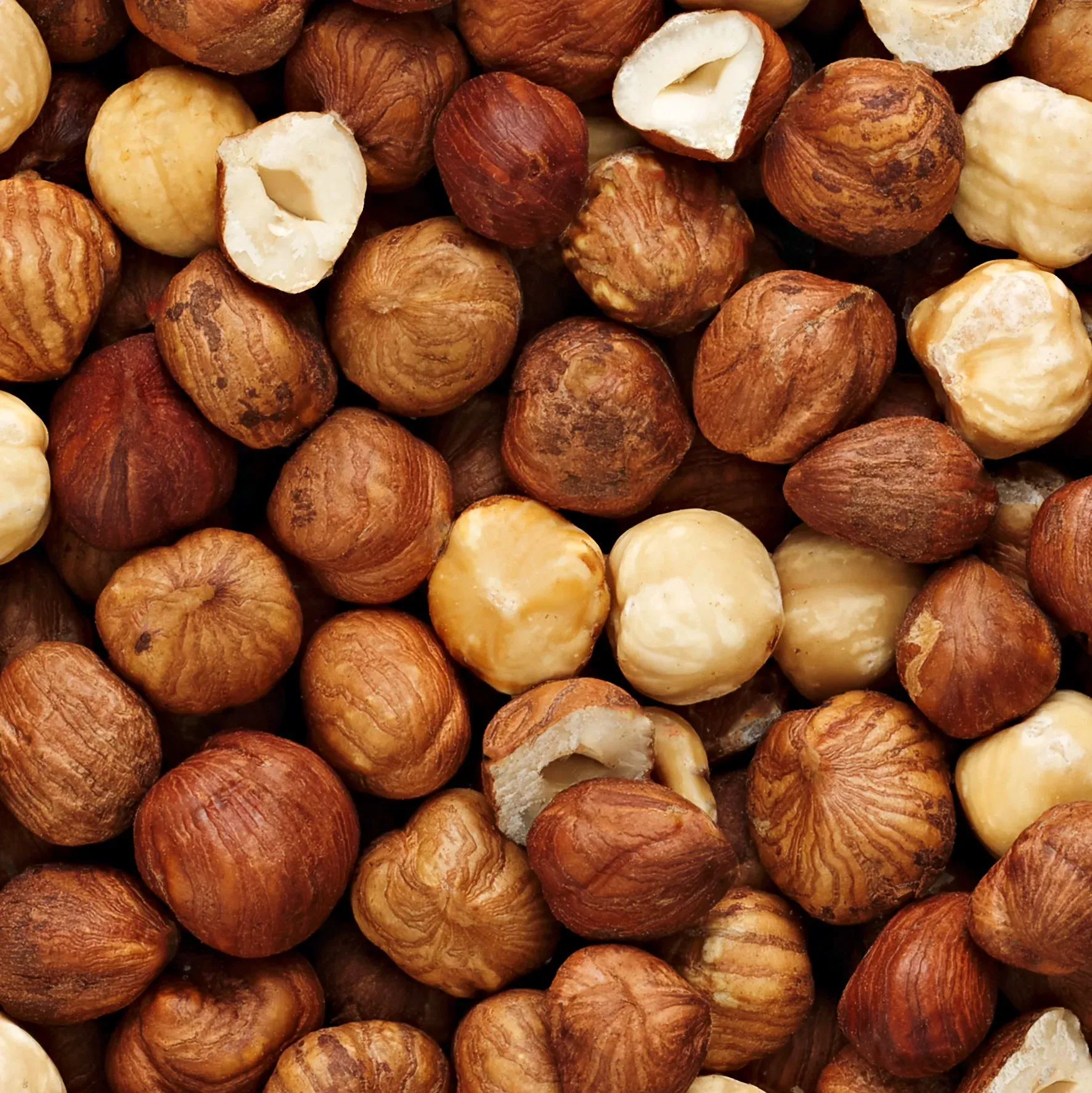 A pile of hazelnuts with one being peeled.