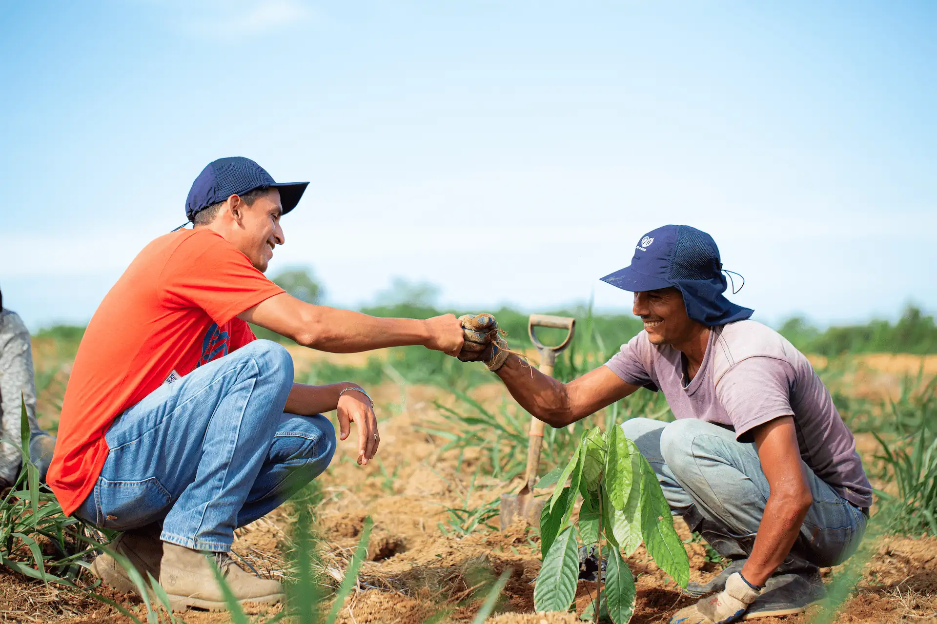 Two people in hats bump fists while planting in a field.