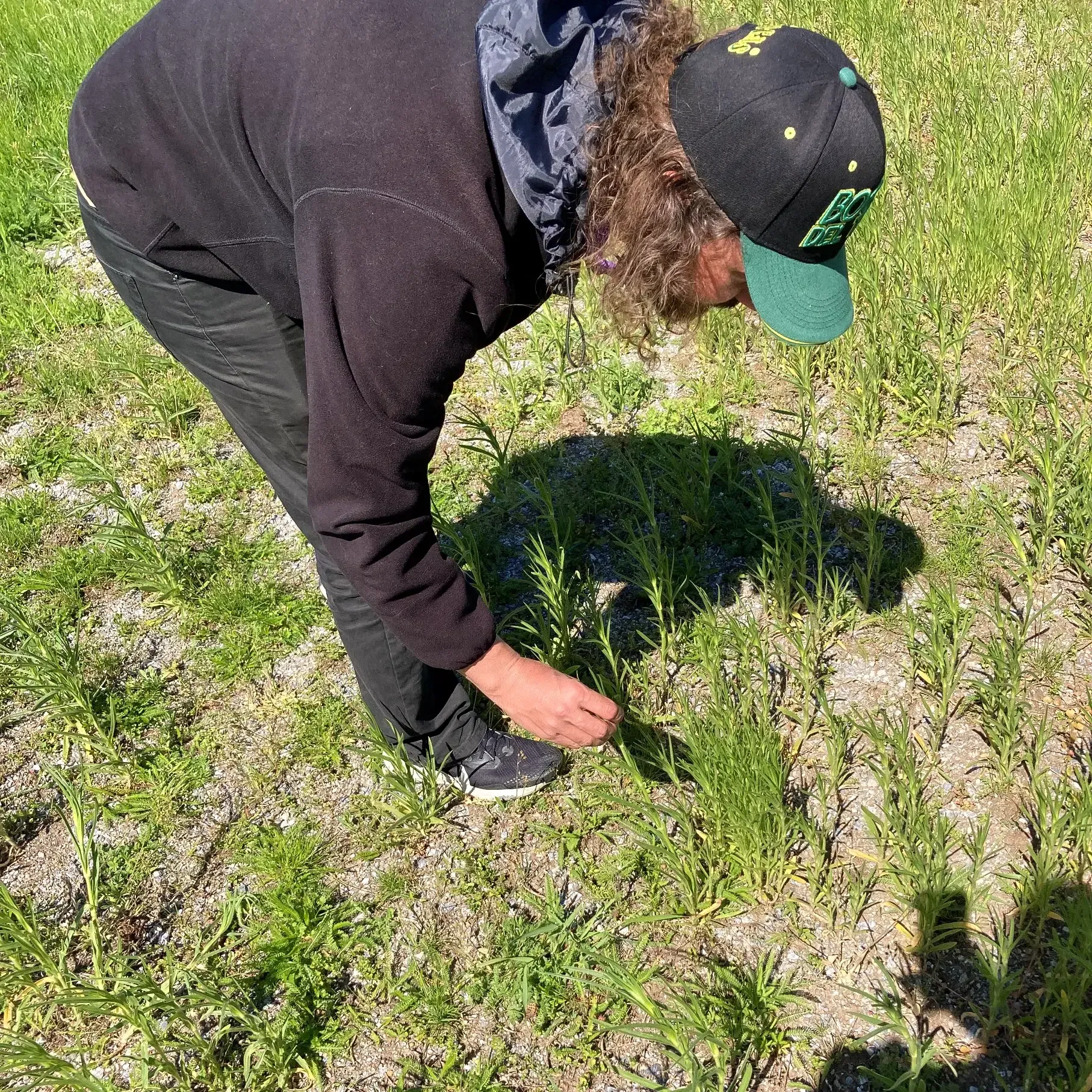 A person wearing leaning over some grass