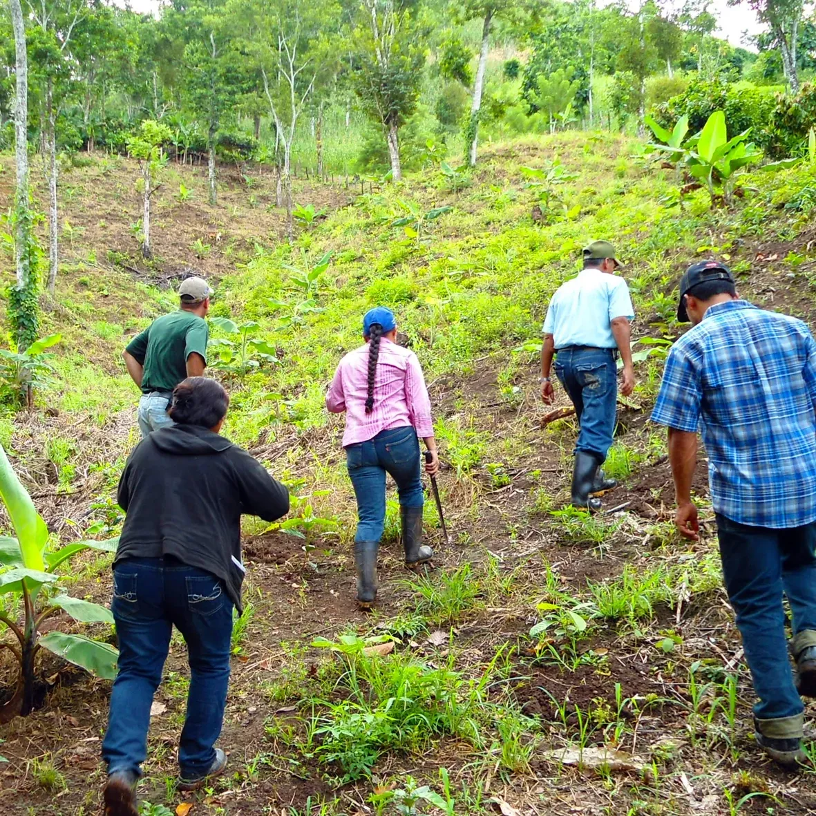 A group of people are walking up a hill