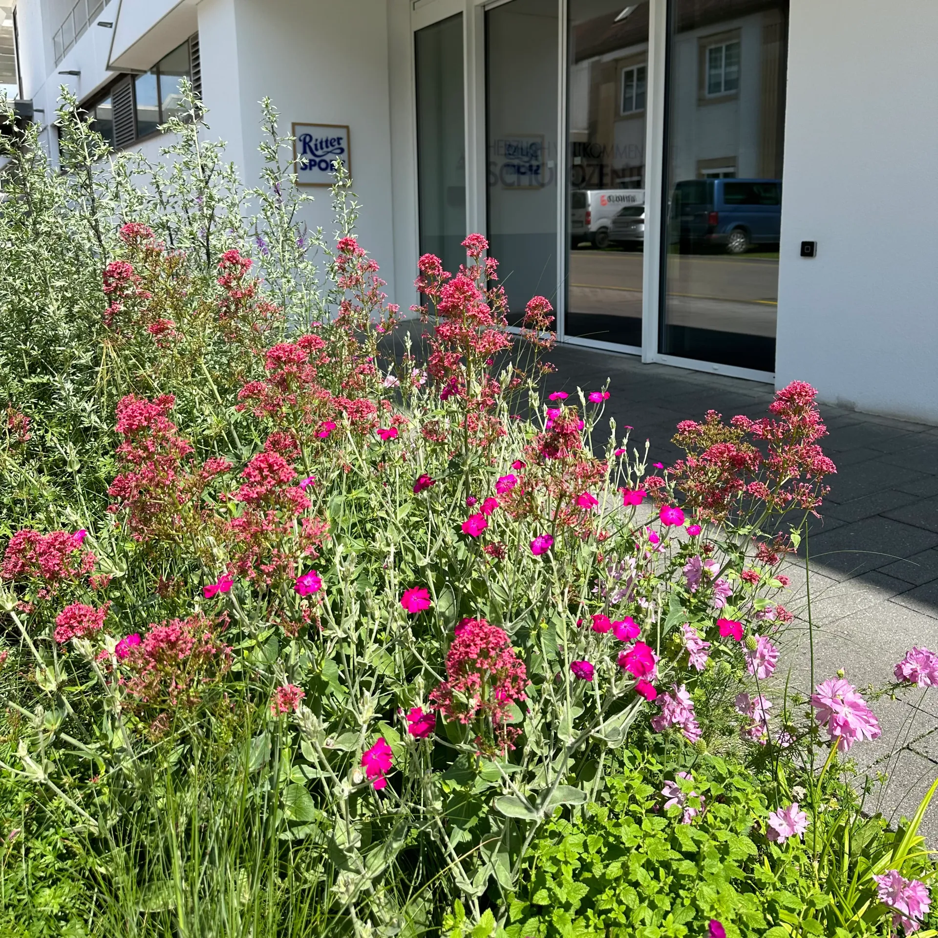 The Ritter Sport building with various flowers in front of it