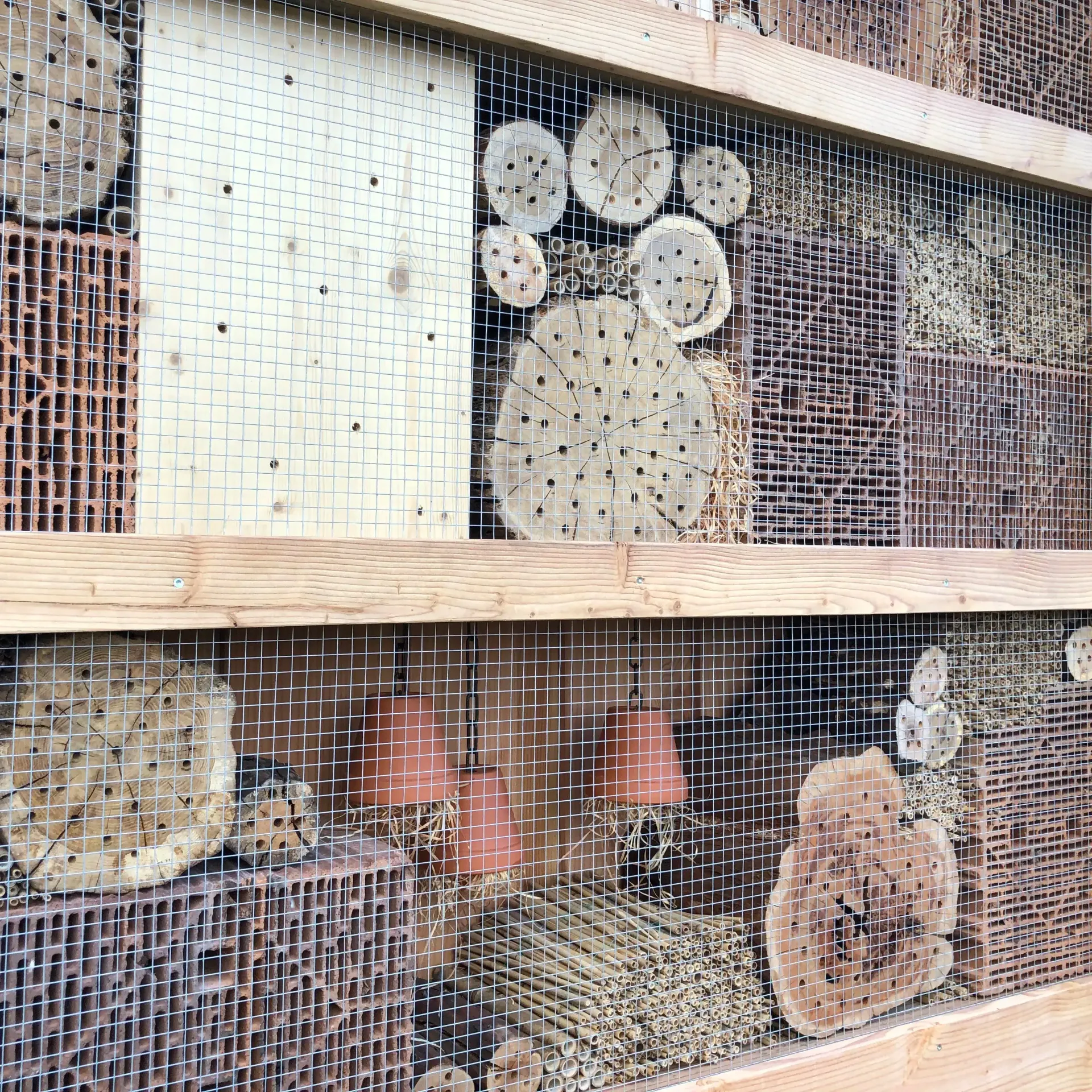 An self built insect hotel