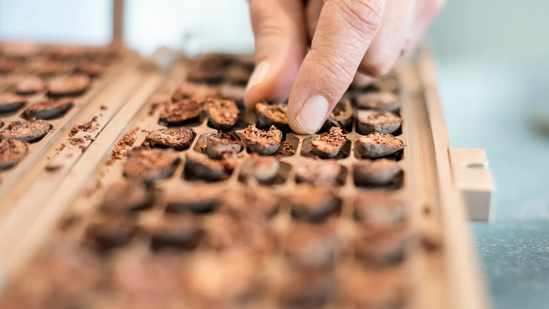 A person is reaching into a wooden tray  with chocolate beans.