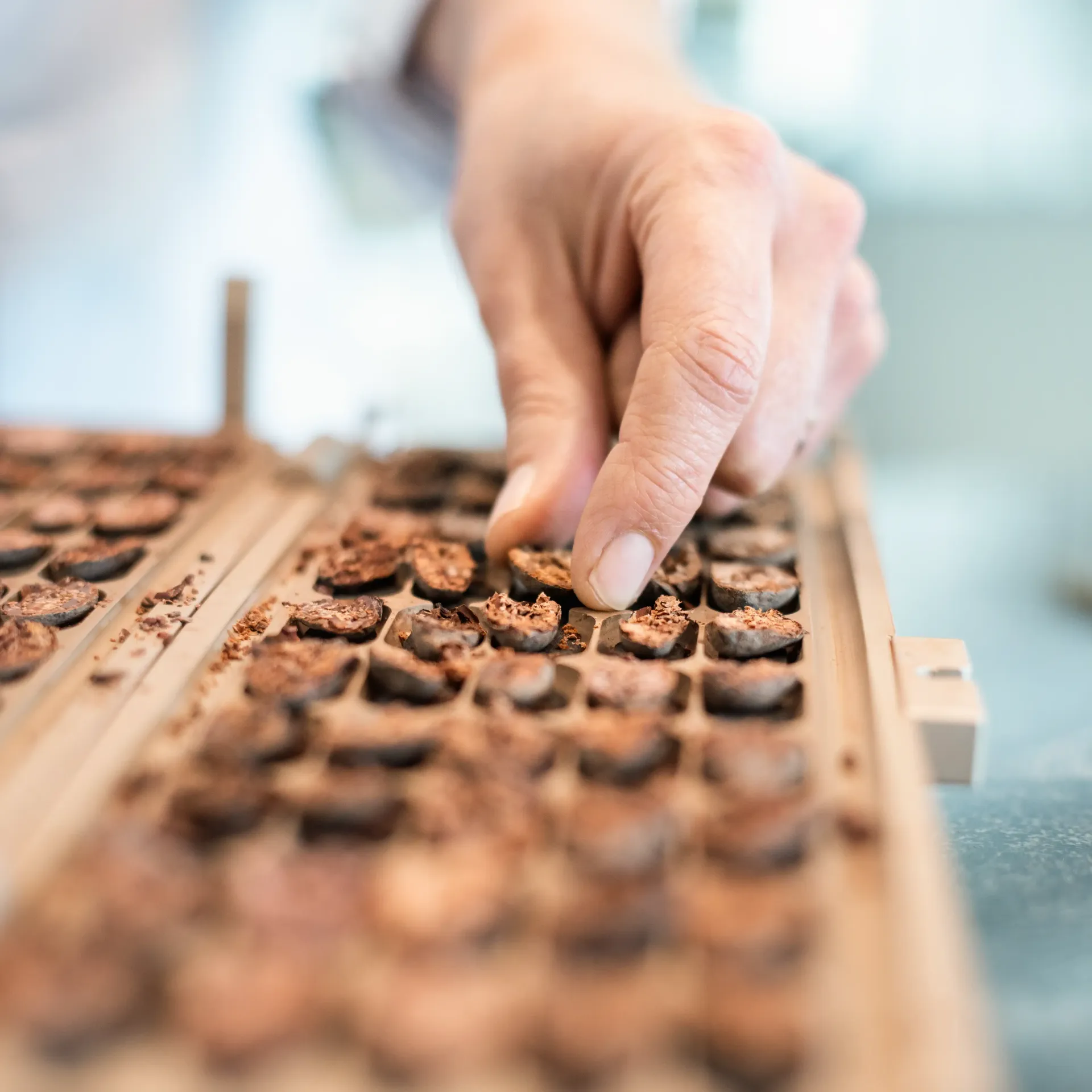 A person 's hand is reaching into a tray of chocolate beans