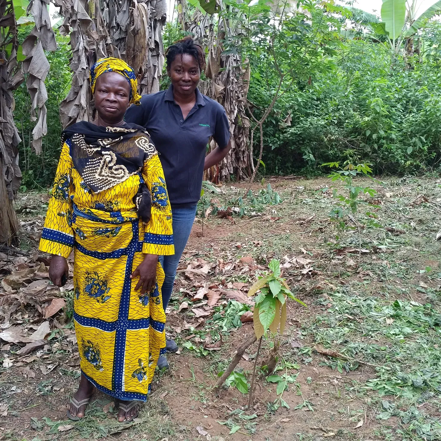 Two women standing next to a little cocoa plant