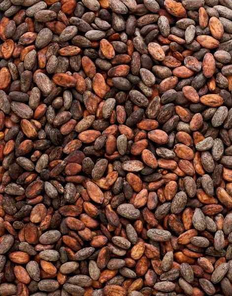 Close-up of roasted cacao beans, various shades of brown.