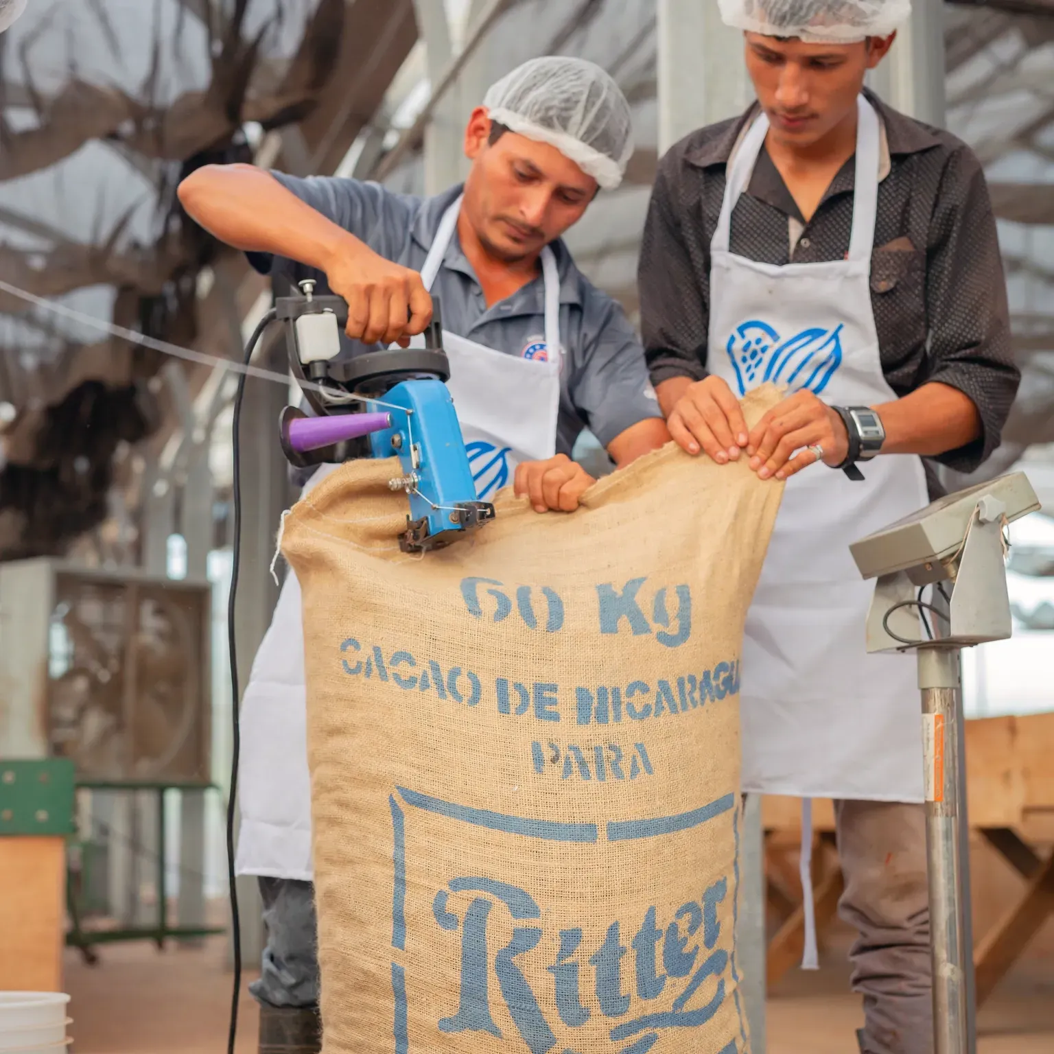 Two men are working on a cocoa bag that says ritter sport on it