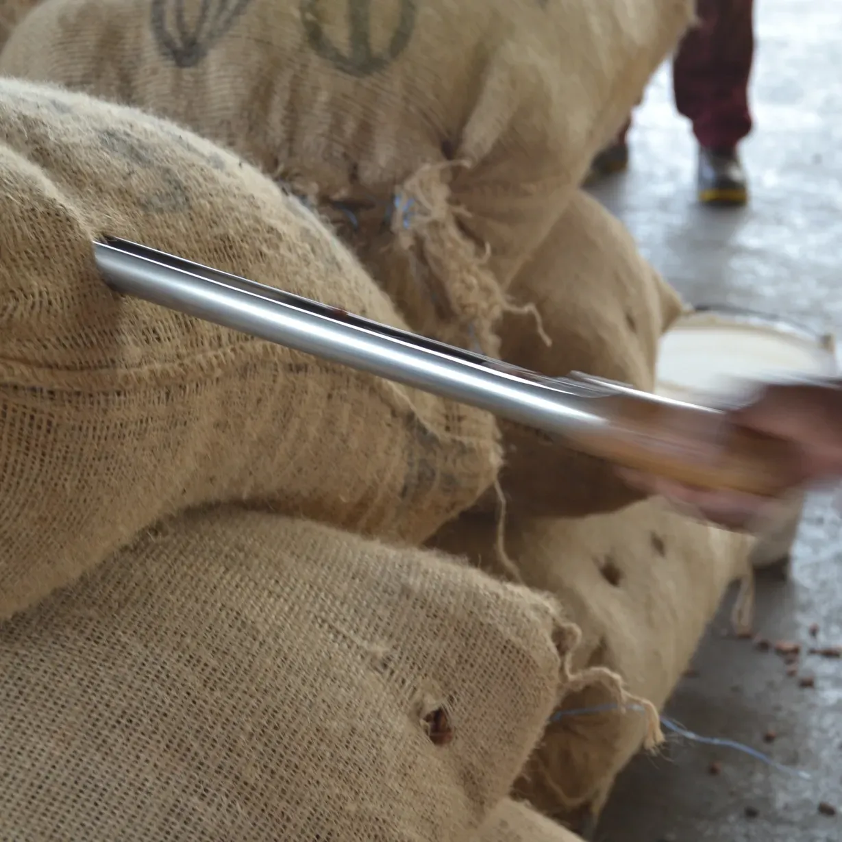 A person is holding a metal bar over a pile of Cocoa bags