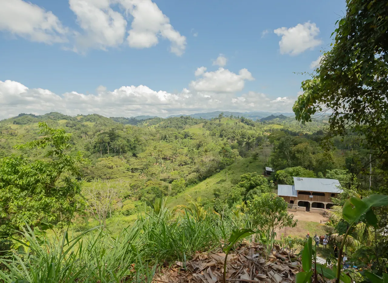 Lush green forest landscape under a blue sky with scattered clouds, overlooking a building with a brown roof.