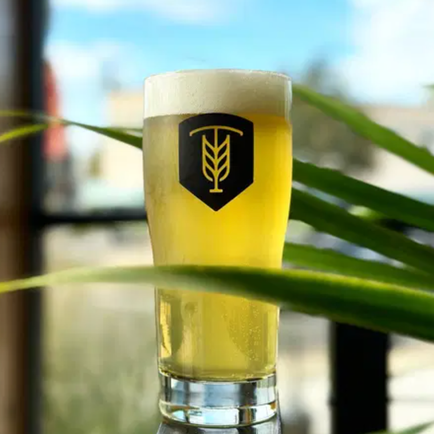Glass of beer with a logo, in front of greenery and a window.