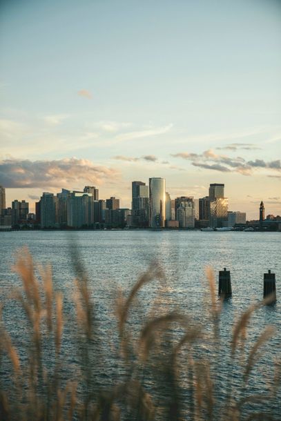 A city skyline is visible over a body of water.