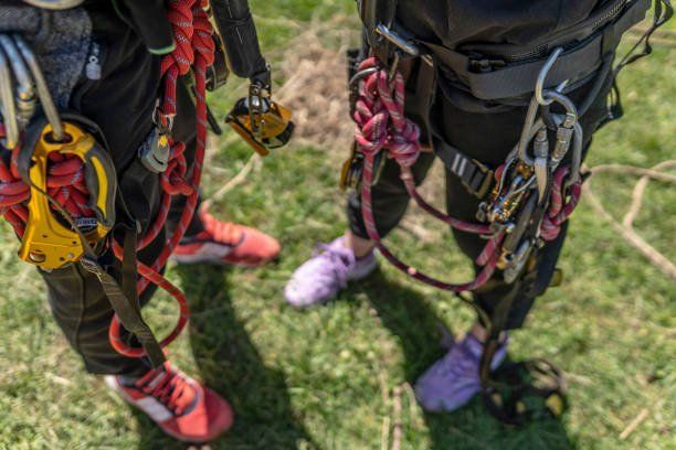 Arnes de Seguridad Medellín, Arnes 4 Argollas Medellín, Arnés 5 Argollas Medellín, Arnes Dinamik Medellín, Arnes EPI Medellín, Arnés DELTA Medellín, Arnés Insafe Medellín