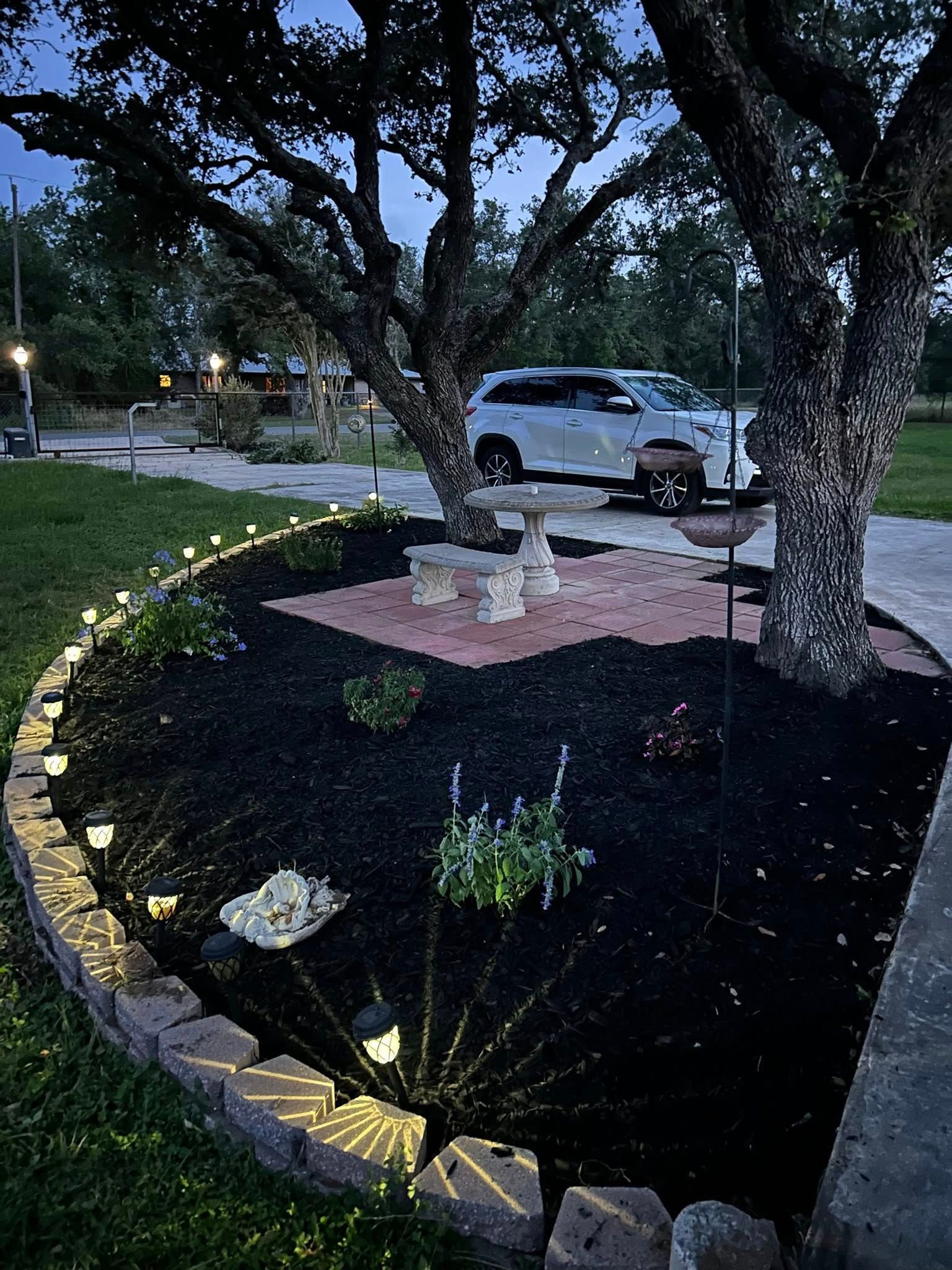 A car is parked under a tree in a garden at night.