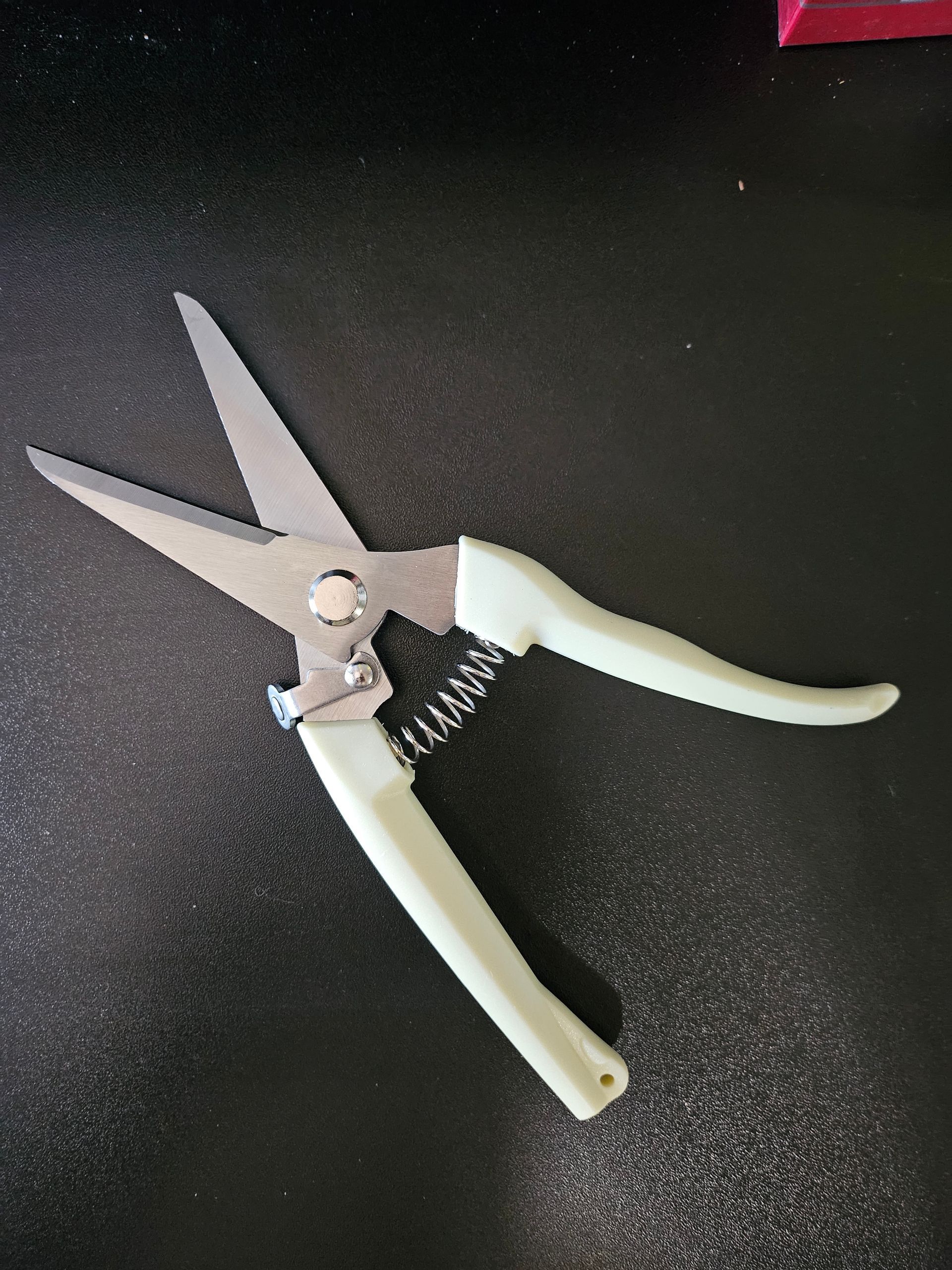Pruning Shears