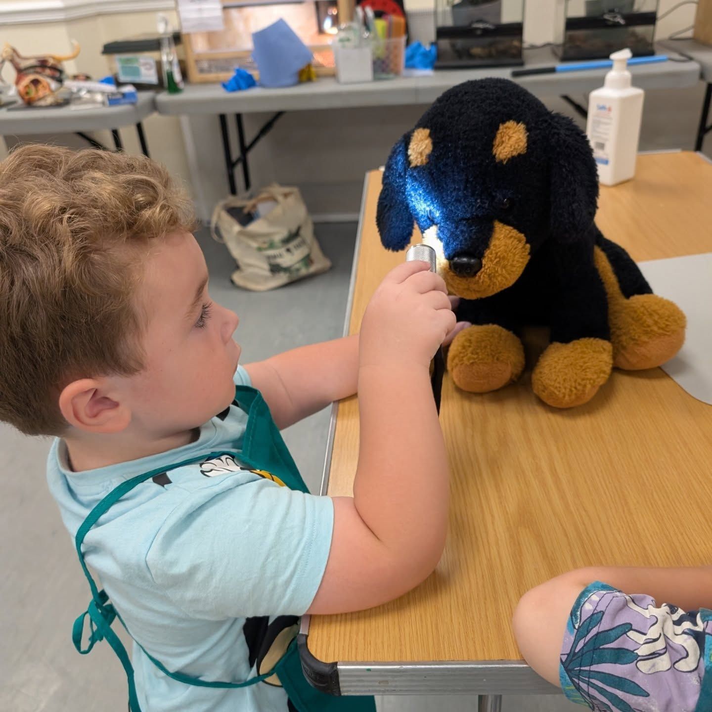 Young boy pretending to examine a dogs eyes