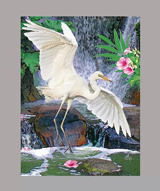 Egret at Waterfall by R Solomon