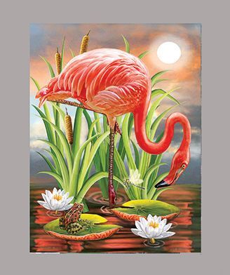 Flamingo Frog And Dragonfly by R Solomon
