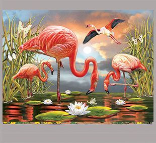 Flamingos by R Solomon