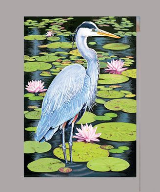 Great Blue Heron and water lilies by R Solomon