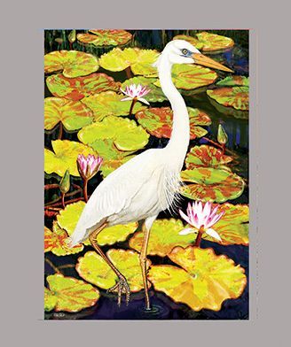 Great White Heron and water lilies by R Solomon
