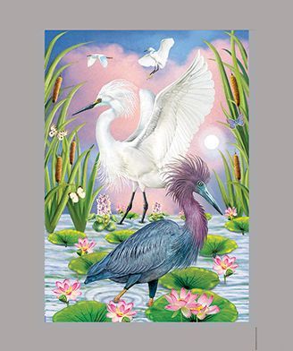 Little Blue and Snowy Egrets by R Solomon
