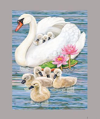 Mother Swan by R Solomon
