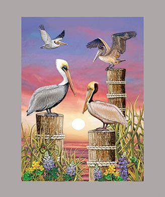 Pelicans at Sunset by R Solomon
