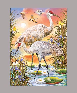 Sandhill Cranes by R Solomon