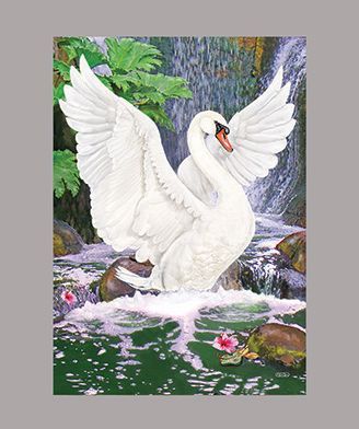 Swan at Waterfall by R Solomon