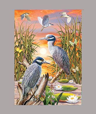 Two Night Herons by R Solomon
